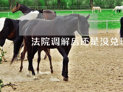 法院调解后还是没兑现 法院调解后还是没兑现
