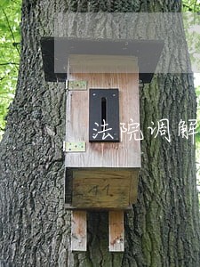 法院调解后还能再审吗 法院调解后还能再审吗