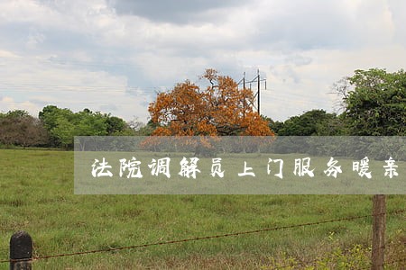 法院调解员上门服务暖亲情 法院调解员上门服务暖亲情