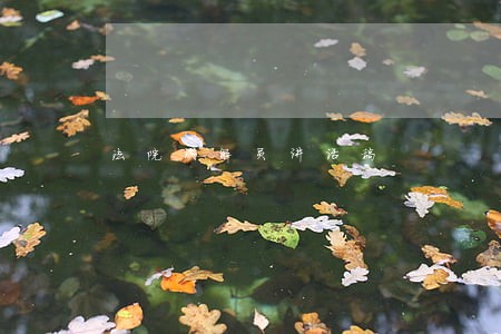 法院调解员讲话稿 法院调解员讲话稿