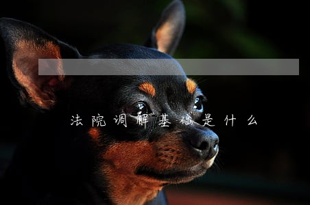 法院调解基础是什么 法院调解基础是什么
