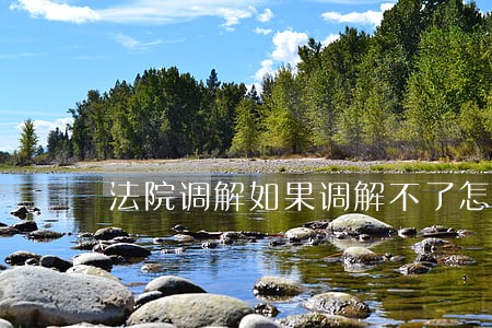 法院调解如果调解不了怎么办 法院调解如果调解不了怎么办