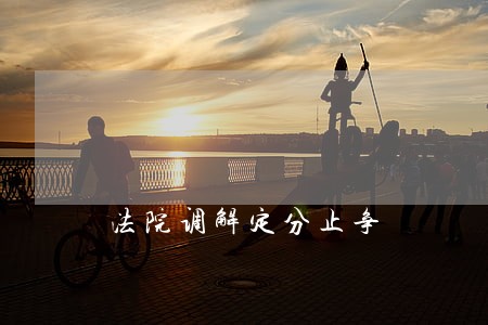法院调解定分止争 法院调解定分止争