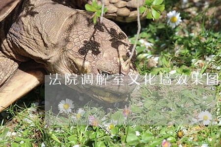 法院调解室文化墙效果图 法院调解室文化墙效果图