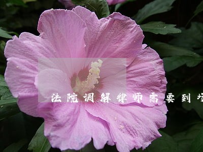 法院调解律师需要到场吗