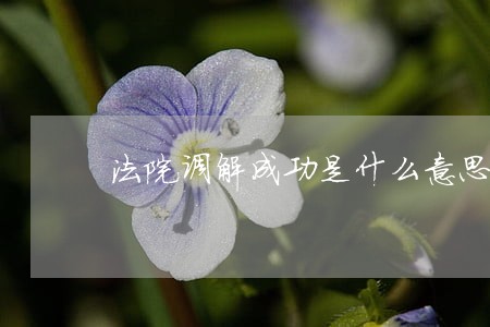 法院调解成功是什么意思 法院调解成功是什么意思
