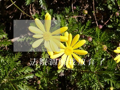 法院调解我放弃了 法院调解我放弃了