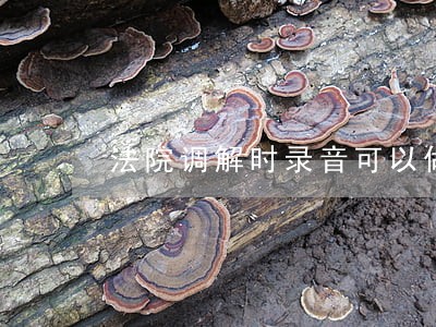 法院调解时录音可以做证据吗 法院调解时录音可以做证据吗