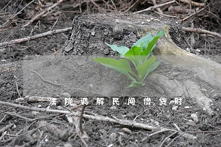 法院调解民间借贷时 法院调解民间借贷时