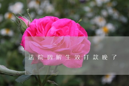 法院调解生效打款晚了 法院调解生效打款晚了