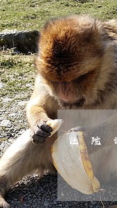 法院调解的作用