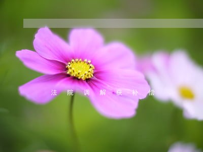 法院调解获补偿 法院调解获补偿
