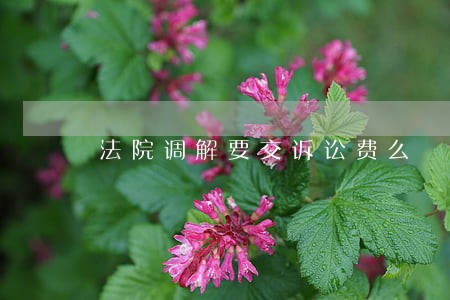 法院调解要交诉讼费么