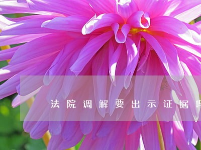 法院调解要出示证据吗