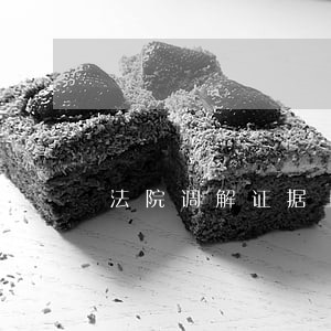 法院调解证据上交 法院调解证据上交