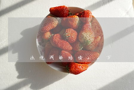 法院调解赔偿22万 法院调解赔偿22万