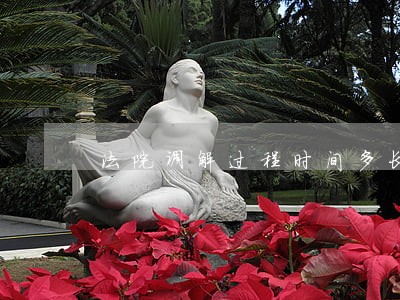 法院调解过程时间多长 法院调解过程时间多长