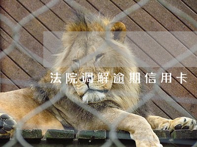 法院调解逾期信用卡 法院调解逾期信用卡