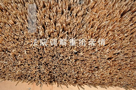 法院调解重拾亲情 法院调解重拾亲情