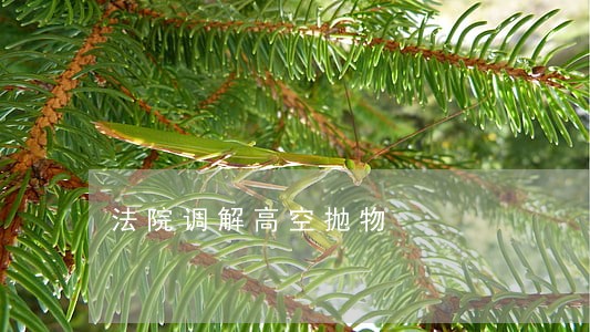 法院调解高空抛物 法院调解高空抛物
