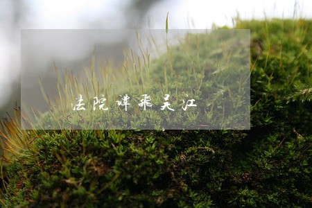 法院谭飞吴江 法院谭飞吴江