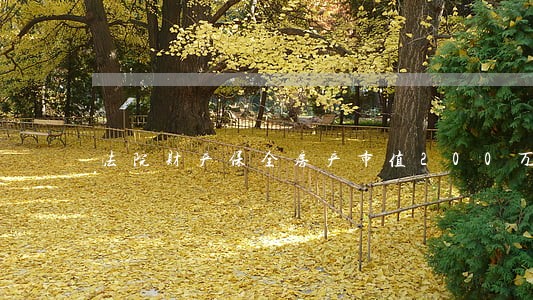 法院财产保全房产市值200万 法院财产保全房产市值200万