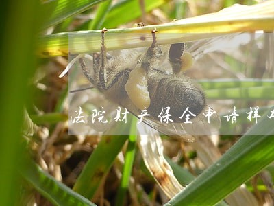 法院财产保全申请样本拓展阅读 法院财产保全申请样本拓展阅读