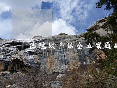 法院财产保全立案通知 法院财产保全立案通知