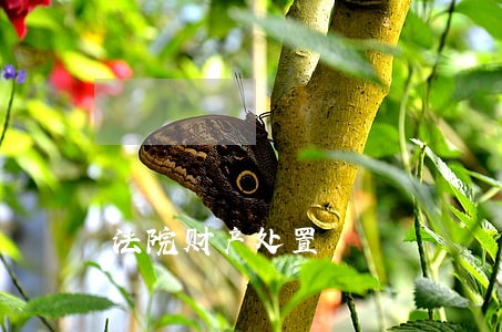 法院财产处置 法院财产处置