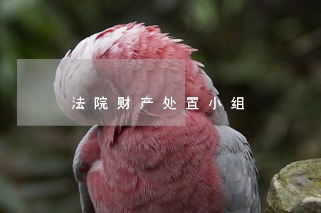 法院财产处置小组 法院财产处置小组