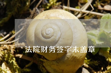 法院财务签字未盖章 法院财务签字未盖章
