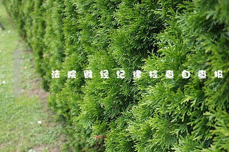 法院财经纪律检查自查报告 法院财经纪律检查自查报告