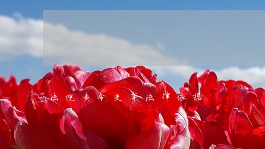 法院责令交车法律依据 法院责令交车法律依据