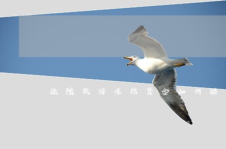 法院败诉冻结资金如何赔偿