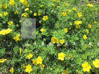 法院贯彻落实两个规定情况汇报 法院贯彻落实两个规定情况汇报