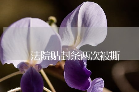 法院贴封条两次被撕 法院贴封条两次被撕