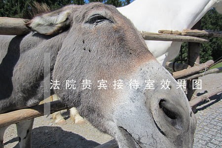 法院贵宾接待室效果图 法院贵宾接待室效果图