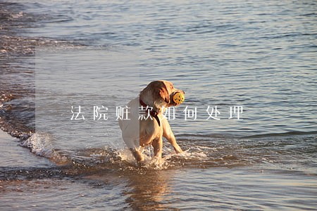 法院赃款如何处理 法院赃款如何处理