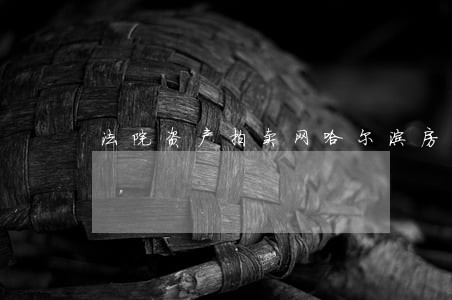 法院资产拍卖网哈尔滨房子 法院资产拍卖网哈尔滨房子