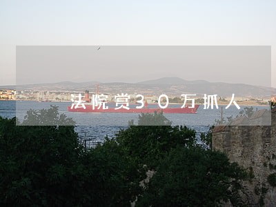 法院赏30万抓人 法院赏30万抓人