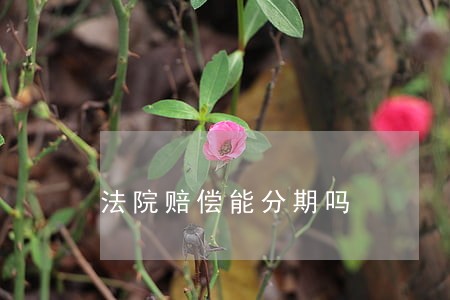 法院赔偿能分期吗 法院赔偿能分期吗