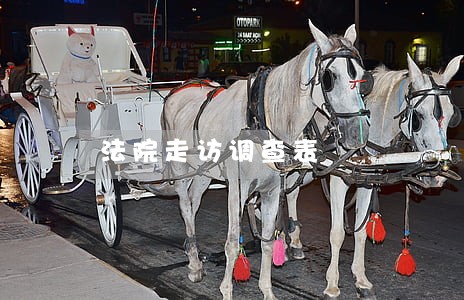 法院走访调查表