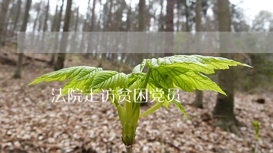 法院走访贫困党员 法院走访贫困党员