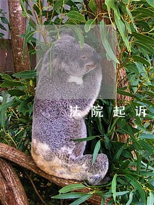 法院起诉不理睬会怎么样 法院起诉不理睬会怎么样