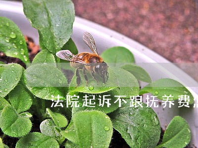 法院起诉不踉抚养费怎么办 法院起诉不踉抚养费怎么办