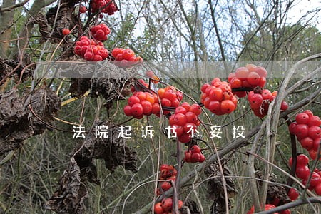 法院起诉书不妥投