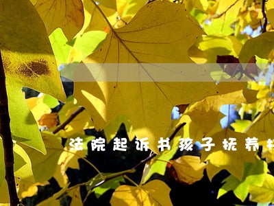 法院起诉书孩子抚养权变更 法院起诉书孩子抚养权变更