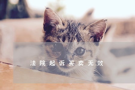 法院起诉买卖无效 法院起诉买卖无效