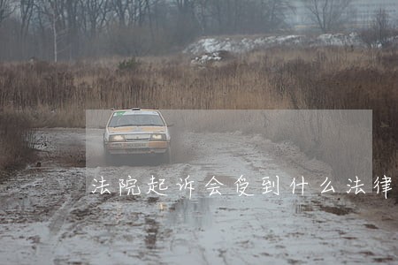 法院起诉会受到什么法律责任 法院起诉会受到什么法律责任
