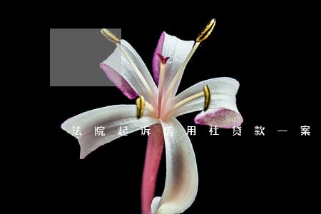 法院起诉信用社贷款一案 法院起诉信用社贷款一案